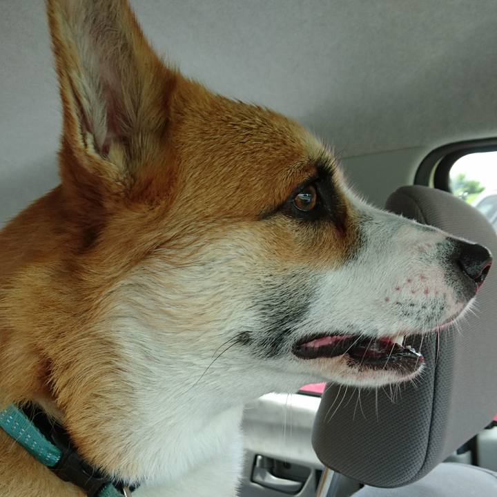 A0116b9b 1431 4564 94a8 5aae5c05c2b4 1593327489369