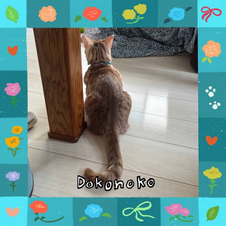 A011abca 0f16 45fd b561 f2549e745309 1715117379162