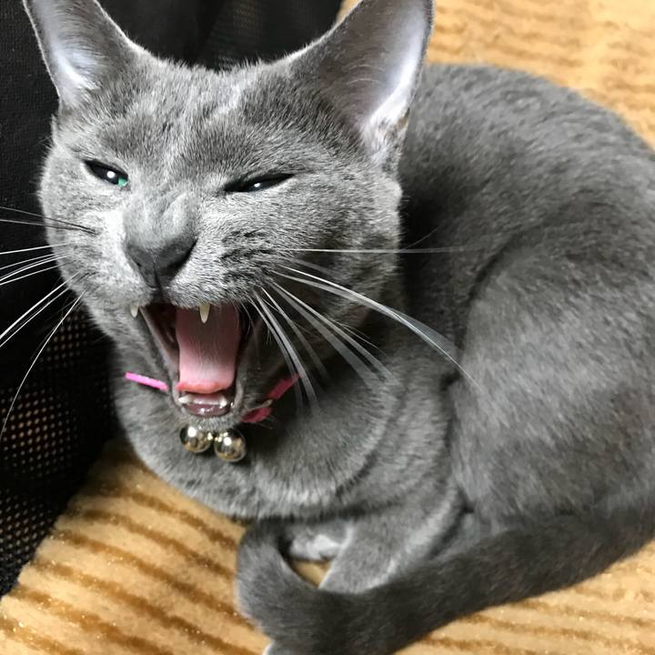 A011b3f9 6597 45bb 9442 572f3d716147 1523959095563