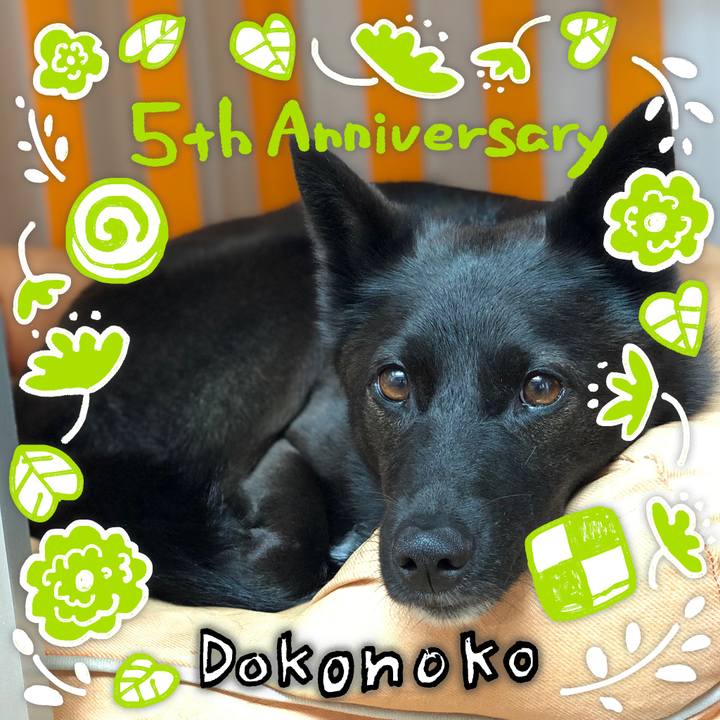 A011db04 9e43 4a0a 8c25 6f5573a7a5cb 1623361325701