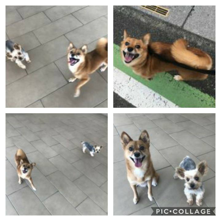 A012061e a81a 4f76 8cba abffd051bce8 1569933468951