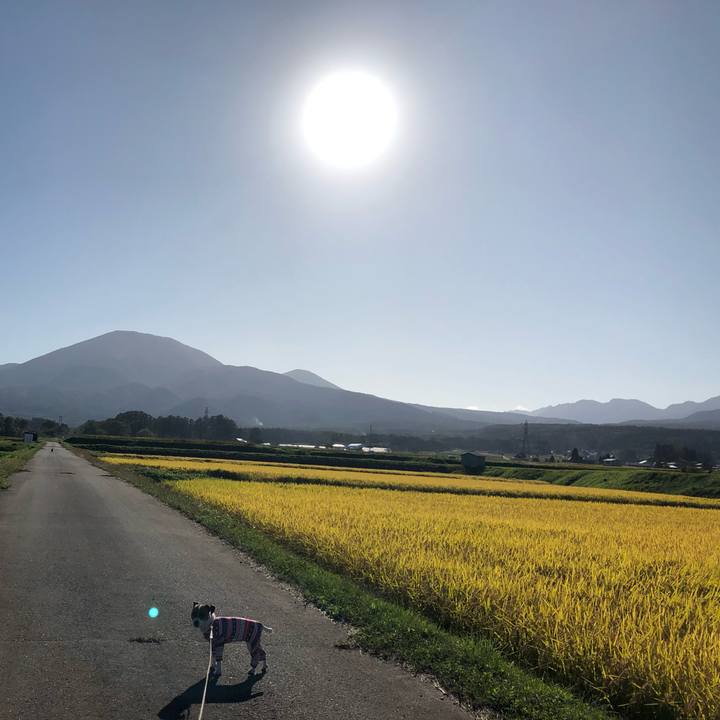 A01219e0 c2db 42e8 8b7f 4d16d2b2f7ac 1570622805198