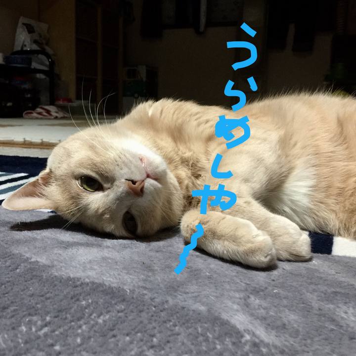 A0122260 c629 4a87 8440 b82e8fed6239 1529584968511