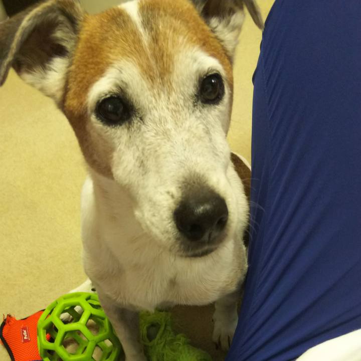 A0123a06 cbdc 42f1 b5fe 6d94055a3c9d 1528104331531