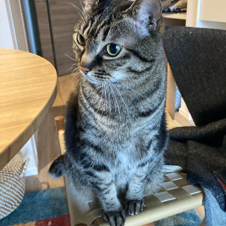 A01248a9 8c27 47e0 acac 68e40dd7d82f 1647907175409