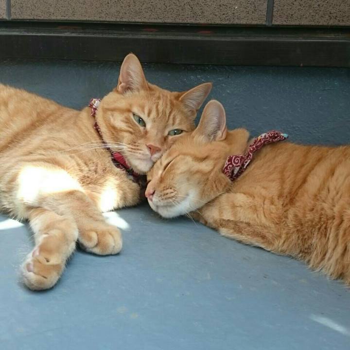 A01255b0 ec2c 457a b1b9 8e35d8d25323 1527404151600