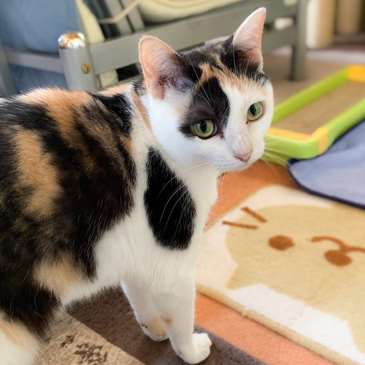 A01265c5 fee7 45ce bd54 cb57f59392ef 1568339553059