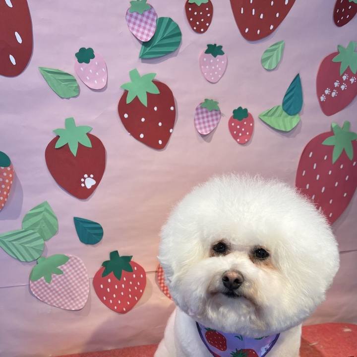 A0126e4b 15af 4e39 8d5d 6cd0164cc6ca 1677897030491