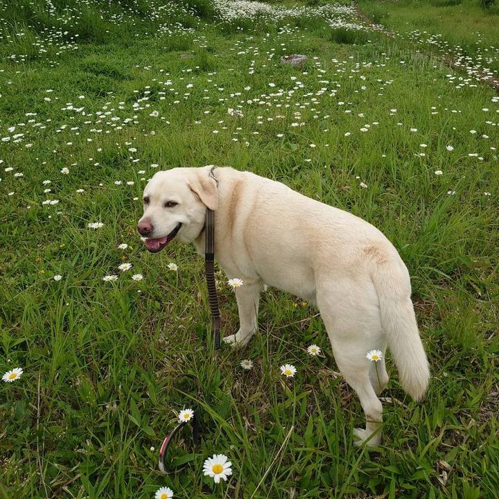 A012caf5 bdeb 4a2b a8a9 99fb21afa996 1720257196422