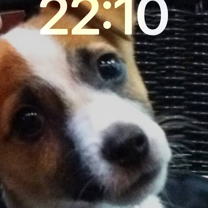 A0130b00 bd86 4748 a6a0 0cf620e477f8 1756818707250