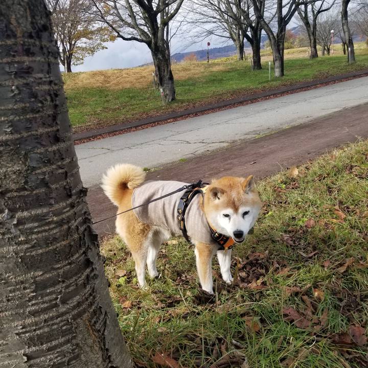 A0130b4f 7a8e 4f59 b8af 6bd591e574e8 1732441628857