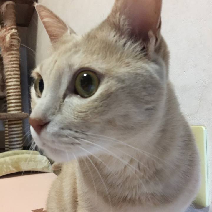 A0136d7b 68ea 4749 9cf0 41927daa45f0 1542113510896