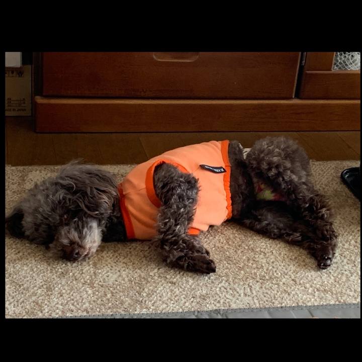 A01378cf d095 4dc1 891c 61e40b72d589 1579054485843