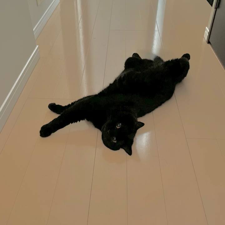 A0138ccc 4a6f 4935 9d59 9efb47cd7df5 1659432468894