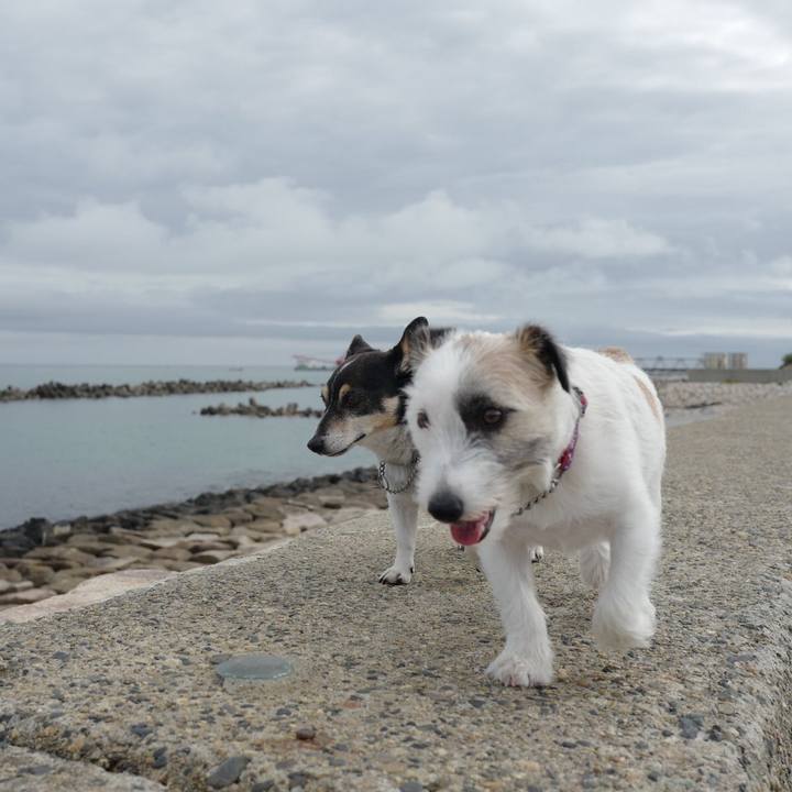 A013e857 fd5c 436c 9982 c27c4090b163 1562993342486