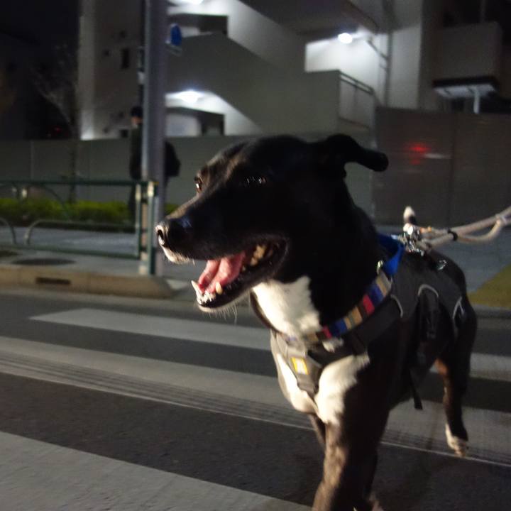 A013f315 466a 4239 86d5 261d74aa703a 1647514034526