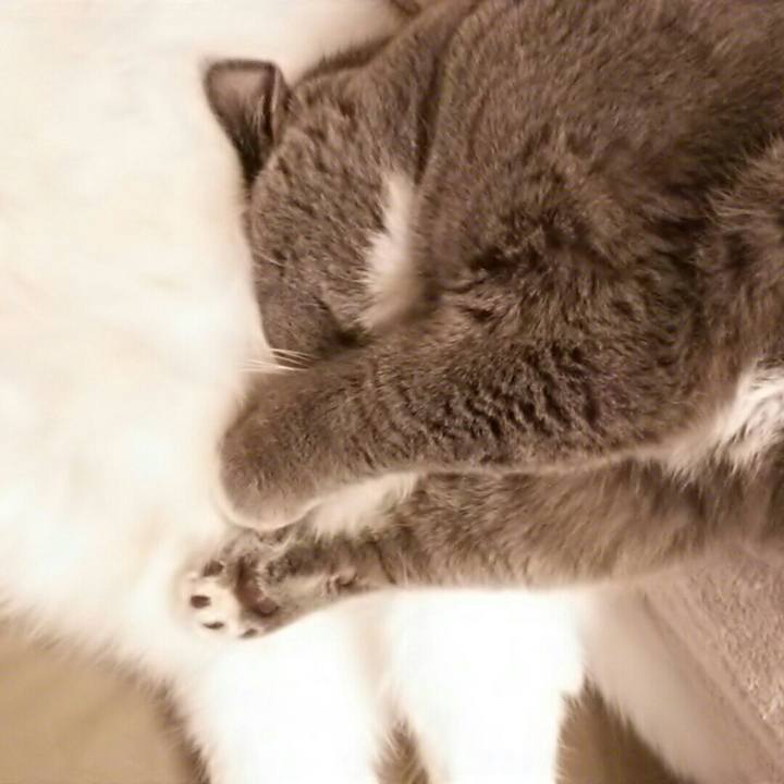 A0141447 df30 454f beab 7e93cad57182 1546380415599