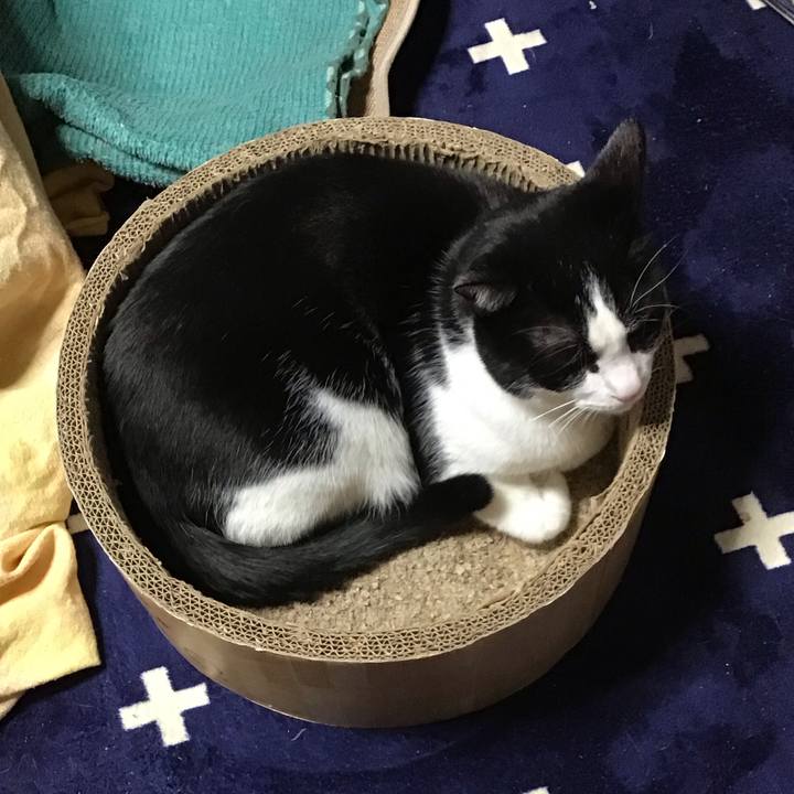 A0141526 b23e 4378 8cae f604ab715add 1739268278041