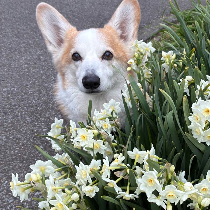 A01415aa a688 463a 93a5 5f377ce821b2 1773105548251