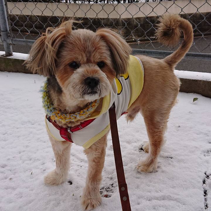 A01419b1 5120 42ac 8974 df0799577e5b 1610006757314