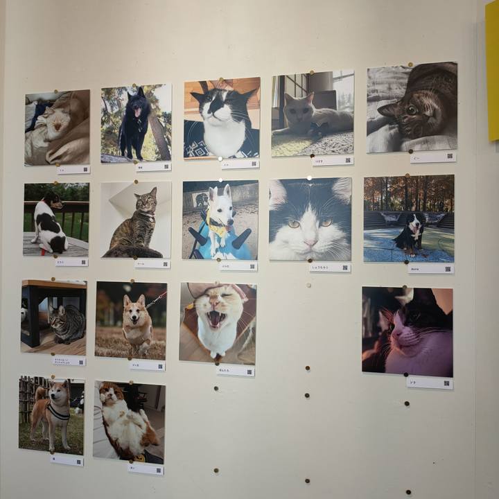 A0143350 44ac 4527 8593 e56d327e502a 1765085263108