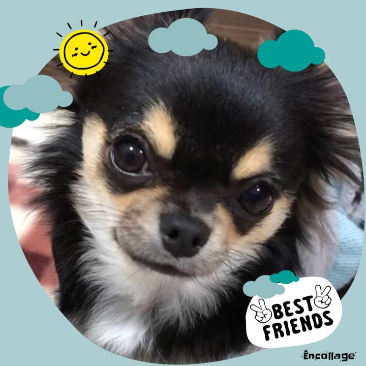 A014b84f f0ee 440e b5ef 2db9c68bc912 1546293291974