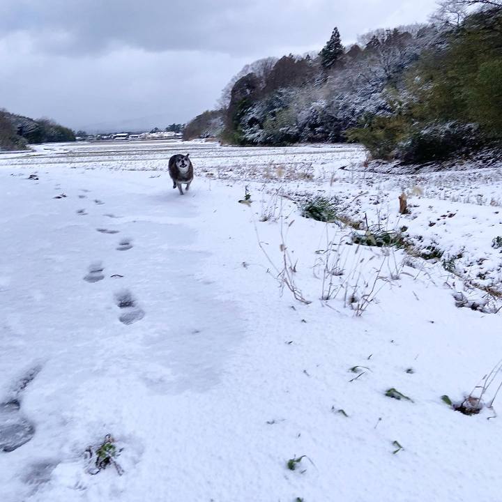 A014d457 8cf9 4ba2 b53d 359e4a0dd463 1702854205402