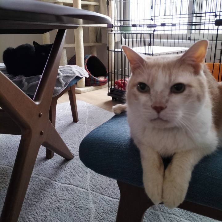 A014fd17 ea30 4d89 ace4 9122f2bddddc 1707949414272