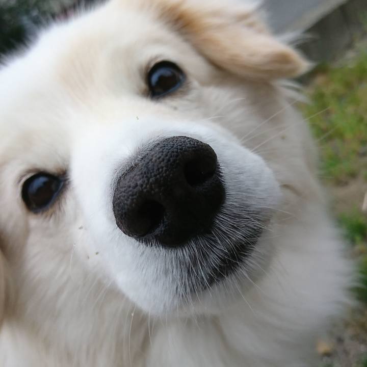 A0151e38 d4aa 499c 9dd5 85bc1e642bbb 1524434206414