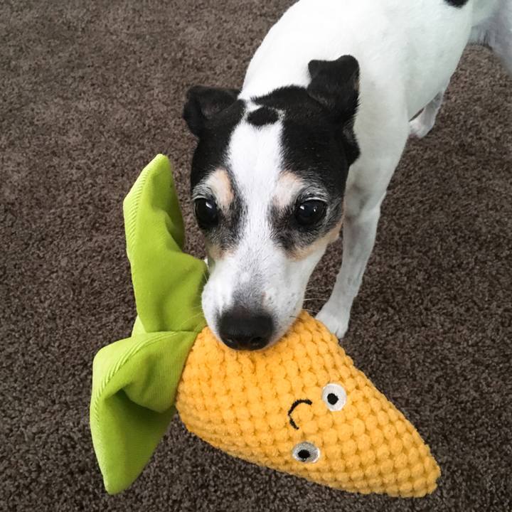 A01577b4 8fe6 4ab1 b586 115b76f8736d 1529497571575