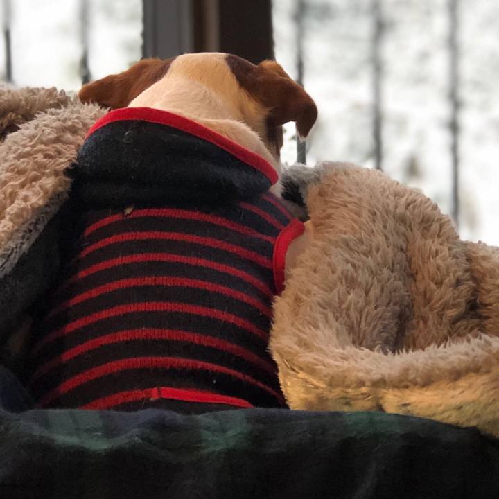 A01579ed 23a4 4e4a bfef 43f6dc0b7d0c 1550651581926