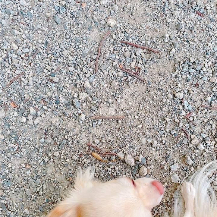 A015d5b5 371a 4c15 9bae 843564f87bfc 1627613568852