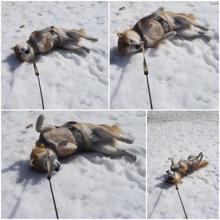 A015ebe0 452c 4963 914c ccdcd0fb38d3 1677559750906