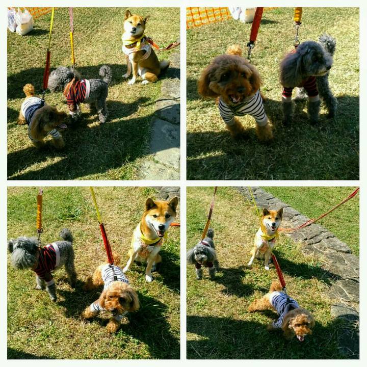 A015ef71 dcb0 4c82 9c9a 9543e70e813e 1540111931435