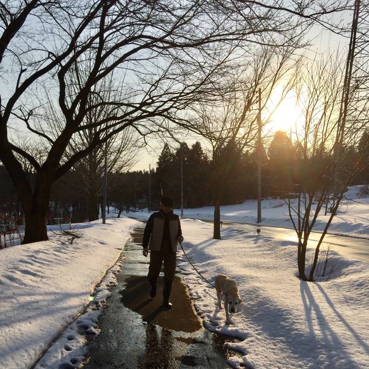 A015f381 029f 46bc b058 538cdb44cede 1547549652717