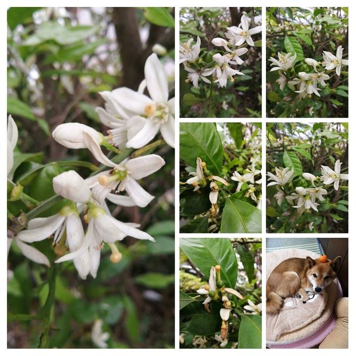 A015f3c5 fda1 4627 ad28 b8ccf949c773 1589772509504