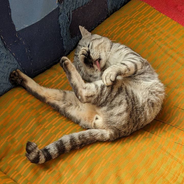 A0160db2 a3f4 43bb b01e d138fbb41d60 1710542669605