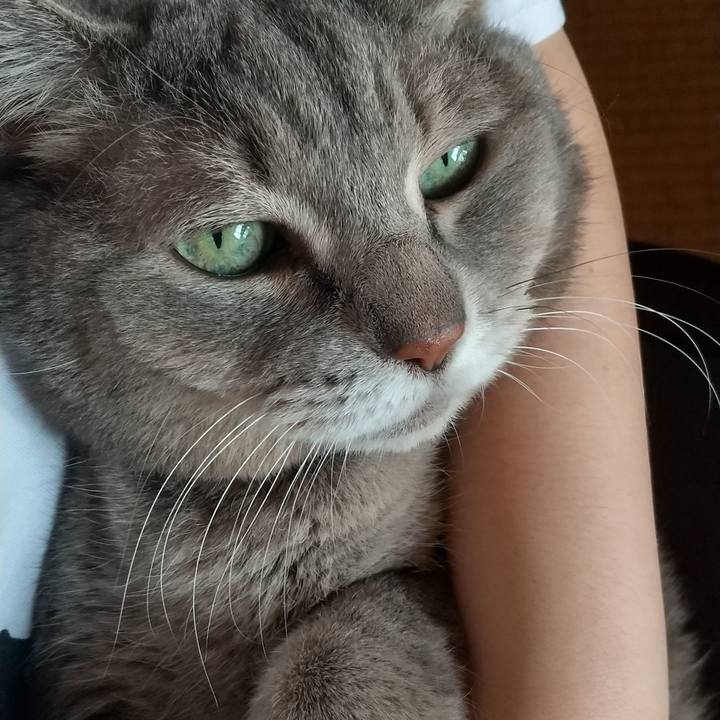 A0161160 9779 4b84 90ca 143c93a257ac 1637899064635