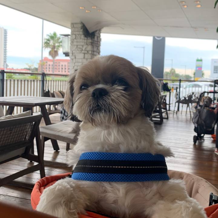 A01615c0 2670 433a a300 420f4eaa8838 1762139672166