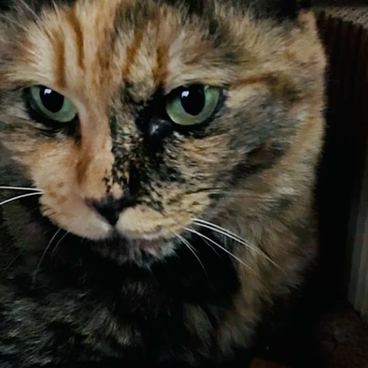 A016186f 4239 4a54 963a 96999f885ba0 1755519275651