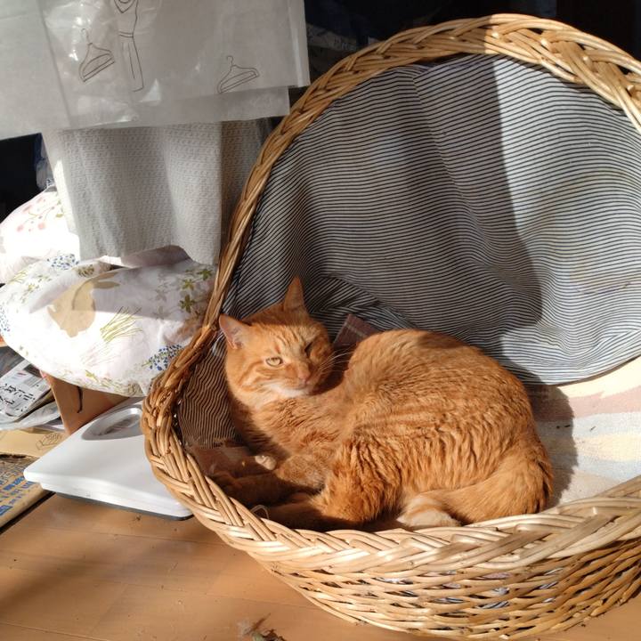 A01638a5 2829 462a 80c4 302802ee062b 1700551262438