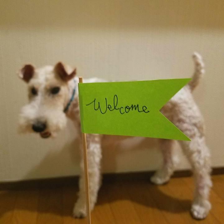 A016b01d 2965 4822 bf52 a1fedd7c7c40 1534855398667