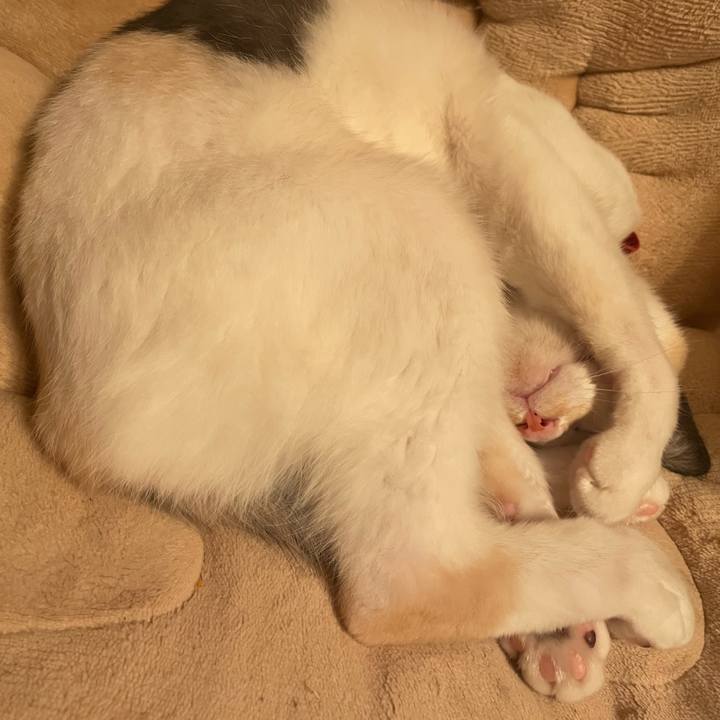 A016c083 eb65 4729 bb68 78292c8fd059 1731678430165