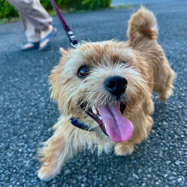 A0172b56 3257 452c 9c81 989d474a4930 1757257185014