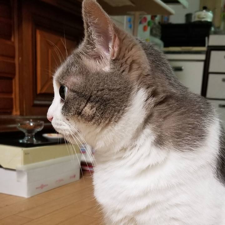 A0172ecb ca3a 4021 8569 096091e5f57a 1687529760004