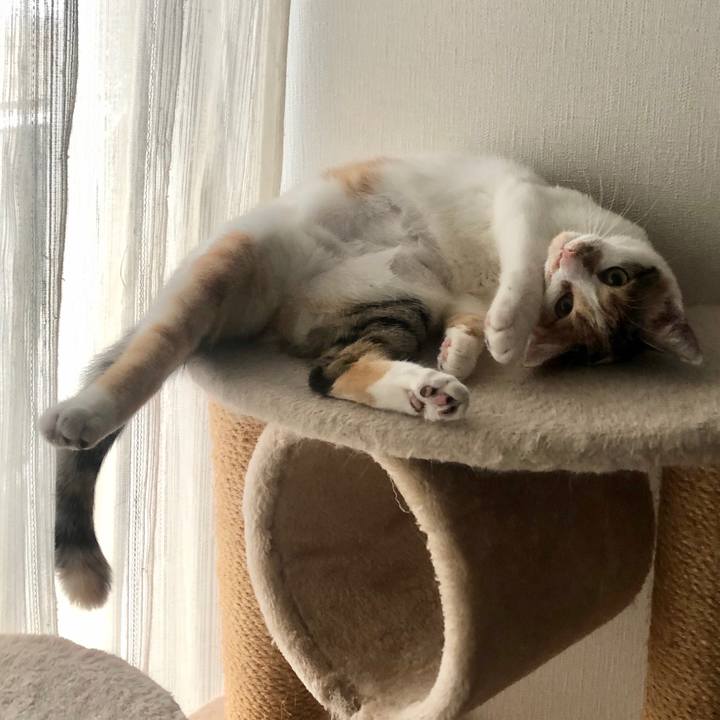 A0173526 5b77 42a4 a6c5 ddf0431ea148 1575692217488