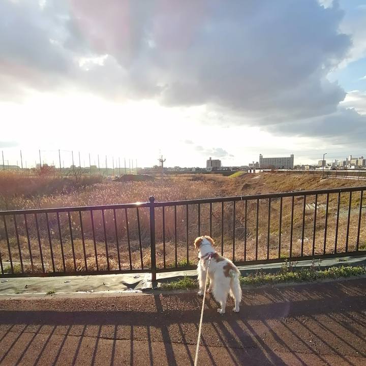 A0179e49 b123 42a7 b251 3e9f3a71e2af 1613648759228