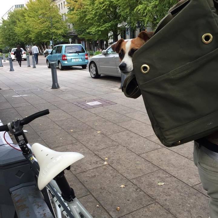 A017a2dc 22dc 4f8a 8f40 4d18a7c277ef 1681625272548