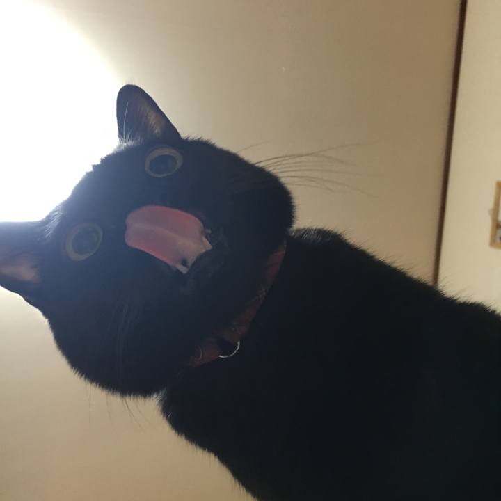 A017a944 557b 4574 a8f7 21b38de4a3bb 1512390151951