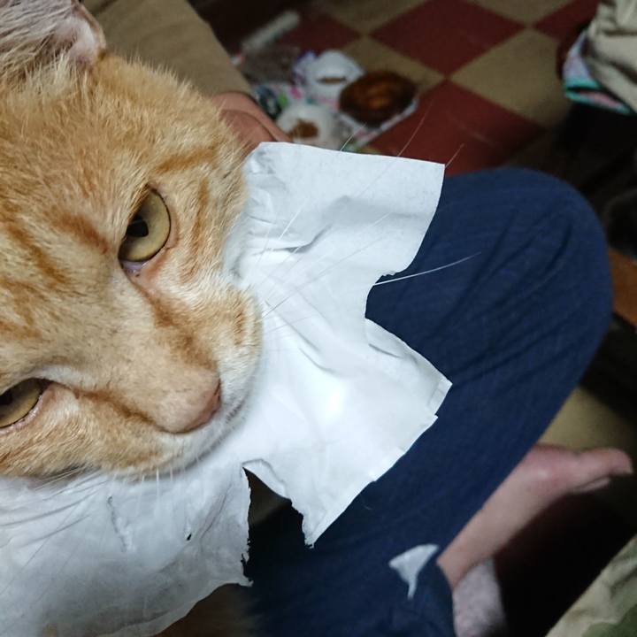 A01815ba d593 4806 bb83 38233f463083 1594762848222